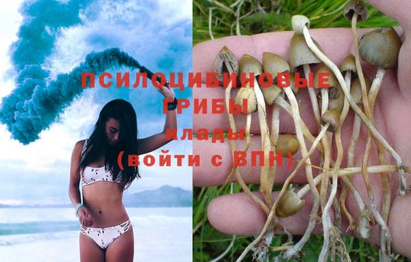спайс Абинск