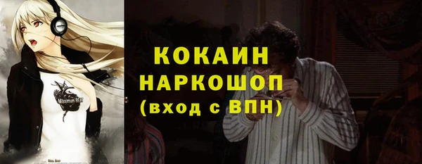 шишки Майский