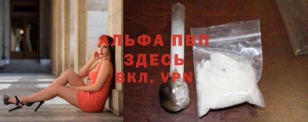 шишки Майский