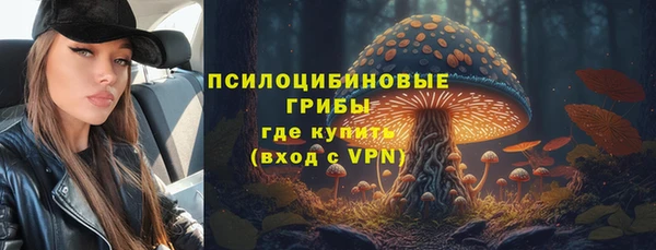 apvp Абаза