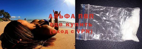 шишки Майский
