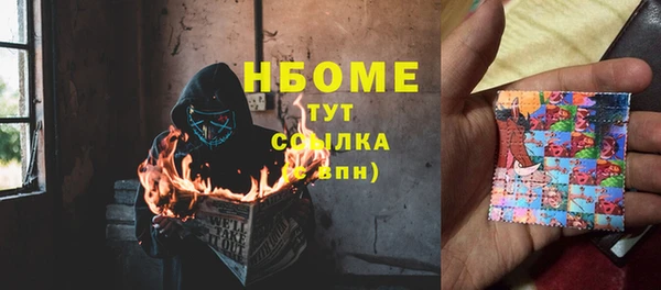 шишки Майский