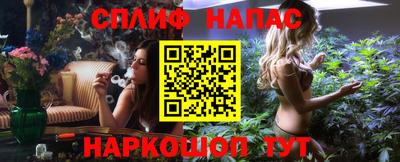 стаф Славгород