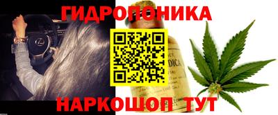 стаф Славгород