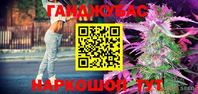 стаф Славгород