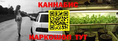 стаф Славгород