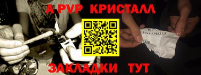 стаф Славгород