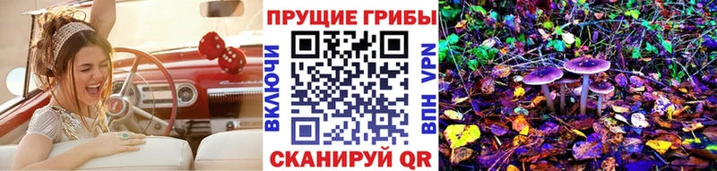 Галлюциногенные грибы Psilocybe  Норильск 