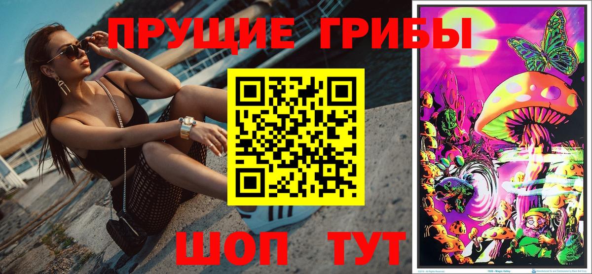 Псилоцибиновые грибы Psilocybine cubensis Норильск