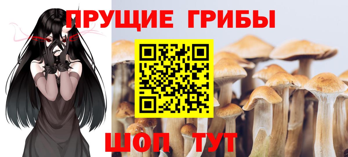 Галлюциногенные грибы GOLDEN TEACHER  Вход с VPN  Норильск  Галлюциногенные грибы мухоморы 